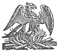 The Phoenix Bird