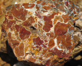 Outcrop of the Gemstone Jasper