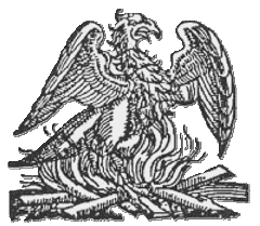 The Phoenix Bird The Phoenix Bird
