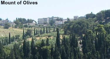 Mount of Olives