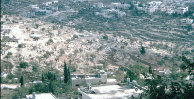 Overlooking Shepherds Fields near Bethlehem