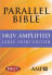 The Amplified Parallel Bible: New King James Version