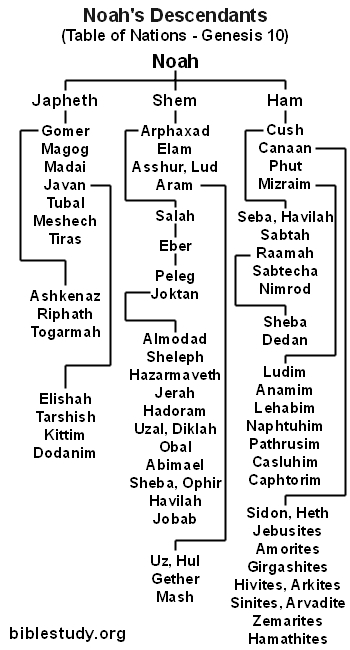 Sons Of Noah Chart