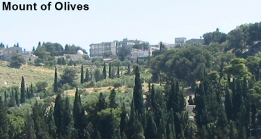 Mount of Olives located in Jerusalem