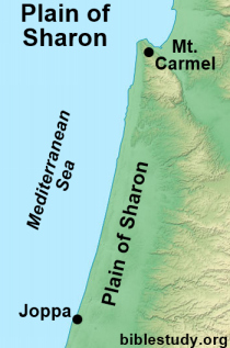 Location of Plain of Sharon in Ancient Israel Map