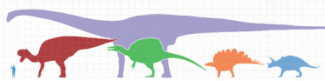 The largest dinosaurs compared to man